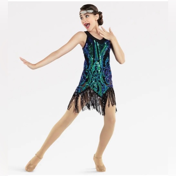 Revolution Dancewear Other - Revolution Dancewear HOW THE OTHER HALF LIVES Sequin Fringe Dress